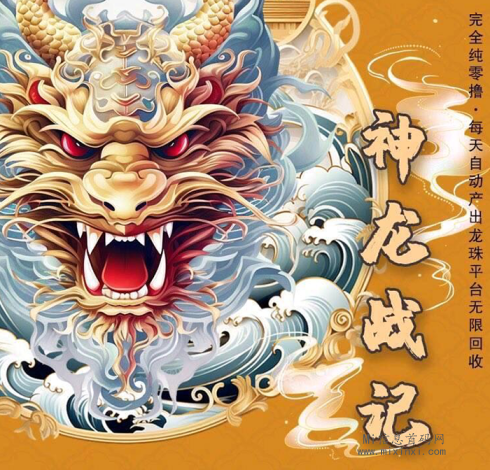 神龙战纪，首码发布上线，年底黑马项目-首码项目网