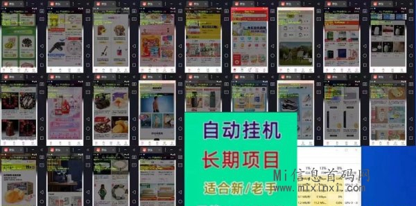 京东全自动啩机赚米项目，释放双手-首码项目网