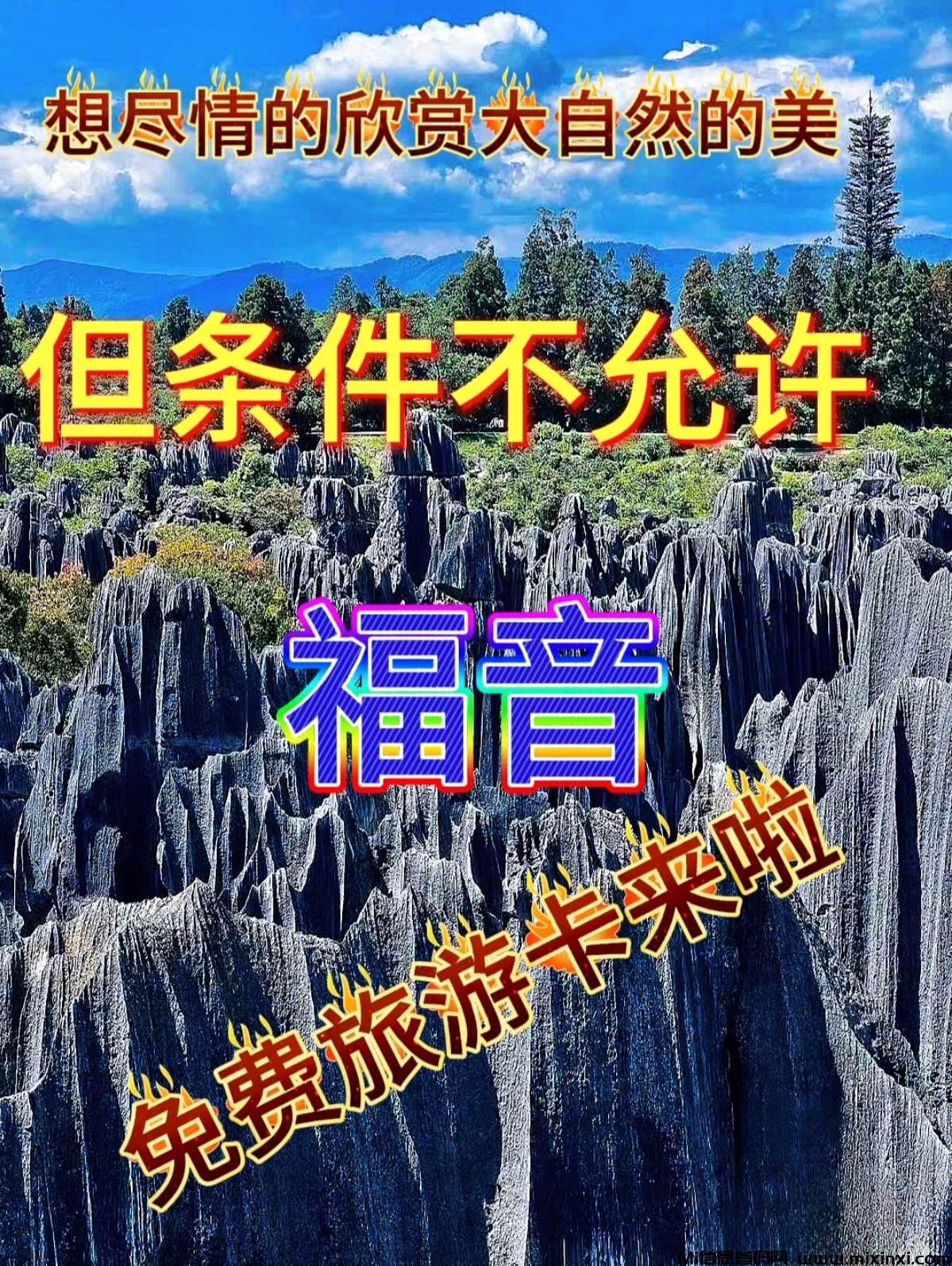 千万别做旅游卡项目，怕你走了之后连班都不愿上了 - 首码项目网-首码项目网