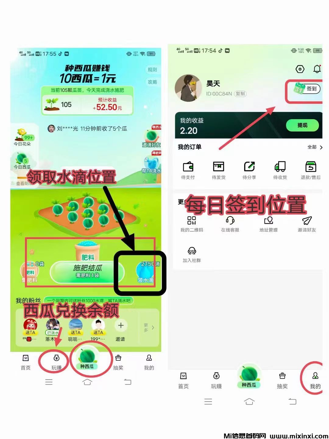 西皮购 ，一个瓜苗结5西瓜=0.5 - 首码项目网-首码项目网